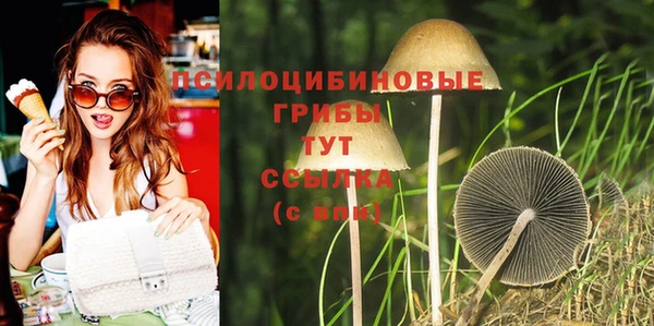 дмт Алексеевка