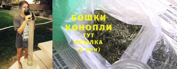 сатива Аркадак
