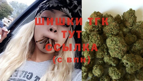 дживик Арсеньев