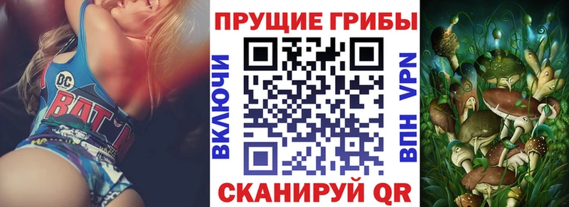 Галлюциногенные грибы мицелий  hydra онион  Новый Уренгой 